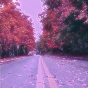 Meet your Posher, Ella